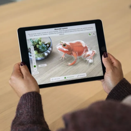 educaltion-apple